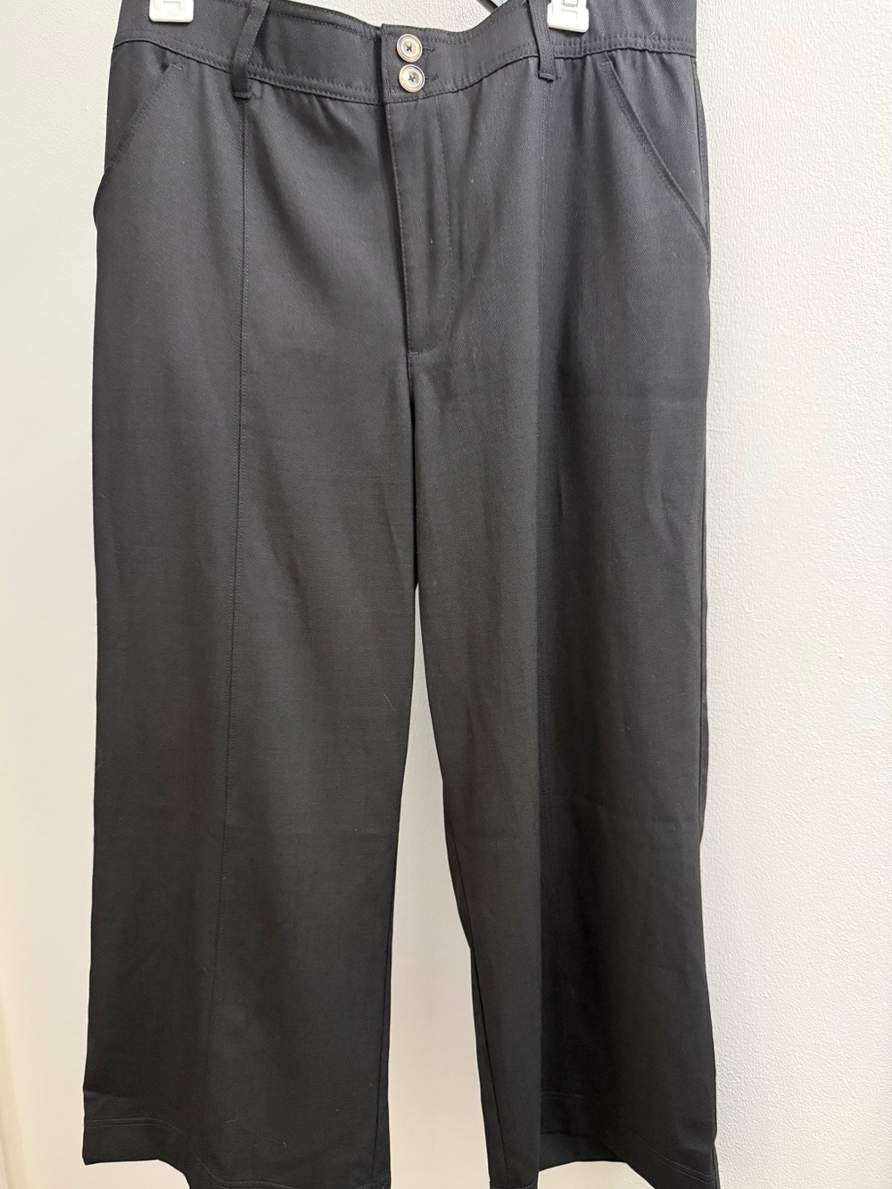 Democracy “Ab”solution wide-leg pants *petite*